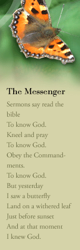 The Messenger